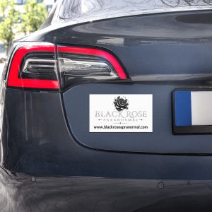 BRP Car magnet